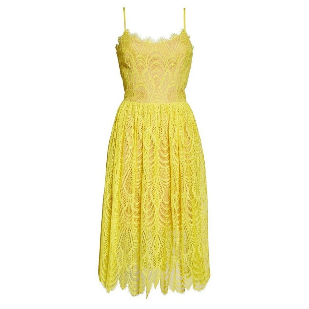 Dress the Population Francesca Lace A Line Dress